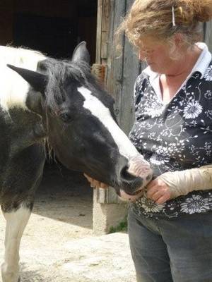 Pferdeerfahrungen Tierheilpraxis