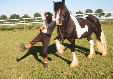 Erfahrungen mit Pferden tierheilpraxis
